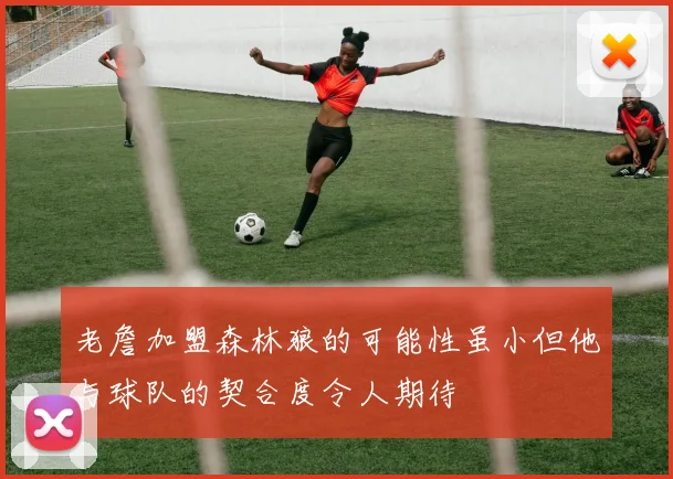 老詹加盟森林狼的可能性虽小但他与球队的契合度令人期待